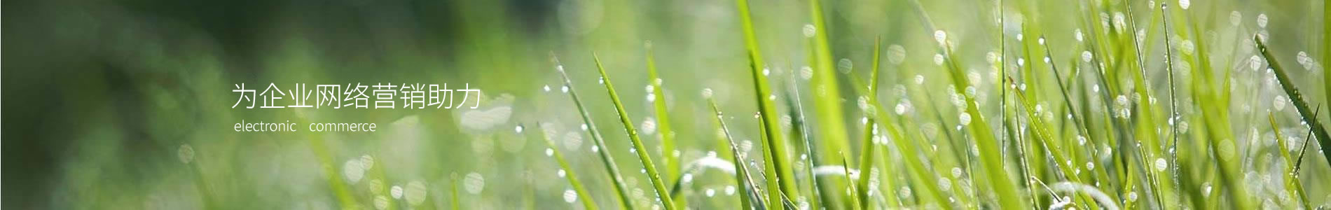 ϺȻάްװ޹˾